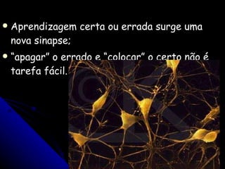Aprendizagem certa ou errada surge uma nova sinapse; “ apagar” o errado e “colocar” o certo não é tarefa fácil. 