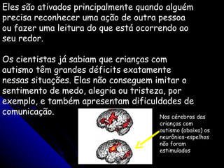 Eles são ativados principalmente quando alguém precisa reconhecer uma ação de outra pessoa ou fazer uma leitura do que está ocorrendo ao seu redor.  Os cientistas já sabiam que crianças com autismo têm grandes déficits exatamente nessas situações. Elas não conseguem imitar o sentimento de medo, alegria ou tristeza, por exemplo, e também apresentam dificuldades de comunicação.  Nos cérebros das crianças com autismo (abaixo) os neurônios-espelhos não foram estimulados  