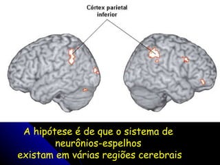 A hipótese é de que o sistema de  neurônios-espelhos  existam em várias regiões cerebrais 