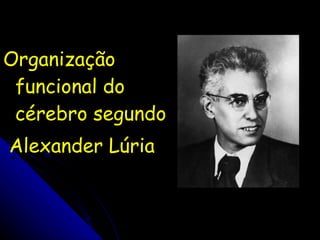 Organização funcional do cérebro segundo Alexander Lúria 
