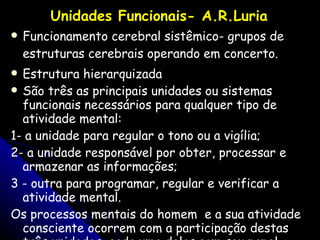 Unidades Funcionais- A.R.Luria Funcionamento cerebral sistêmico- grupos de estruturas cerebrais operando em concerto. Estrutura hierarquizada São três as principais unidades ou sistemas funcionais necessários para qualquer tipo de atividade mental:  1- a unidade para regular o tono ou a vigília; 2- a unidade responsável por obter, processar e armazenar as informações; 3 - outra para programar, regular e verificar a atividade mental.  Os processos mentais do homem  e a sua atividade consciente ocorrem com a participação destas três unidades, cada uma delas com seu papel específico . 
