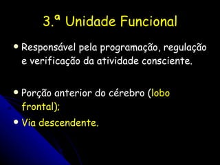 3.ª Unidade Funcional Responsável pela programação, regulação e verificação da atividade consciente.  Porção anterior do cérebro ( lobo frontal); Via descendente. 