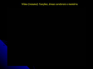Vídeo (resumo): funções, áreas cerebrais e memória 
