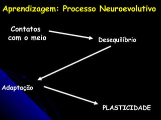 Desequilíbrio Adaptação PLASTICIDADE Contatos  com o meio Aprendizagem: Processo Neuroevolutivo   