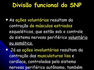 Divisão funcional do SNP As  ações voluntárias  resultam da contração  de músculos estriados  esqueléticos, que estão sob o controle do sistema nervoso periférico  voluntário ou somático. Já as  ações involuntárias  resultam da contração das  musculaturas lisa  e cardíaca, controladas pelo sistema nervoso periférico autônomo, também chamado  involuntário ou visceral . 