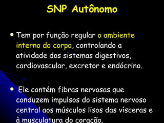 SNP Autônomo Tem por função regular  o ambiente interno do corpo , controlando a atividade dos sistemas digestivos, cardiovascular, excretor e endócrino. Ele contém fibras nervosas que conduzem impulsos do sistema nervoso central aos músculos lisos das vísceras e à musculatura do coração. 