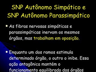 SNP Autônomo Simpático e SNP Autônomo Parassimpático As fibras nervosas simpáticas e parassimpáticas inervam os mesmos órgãos, mas  trabalham em oposição.  Enquanto um dos ramos estimula determinado órgão, o outro o inibe. Essa ação antagônica mantém o funcionamento equilibrado dos órgãos internos . 