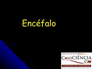 Encéfalo  