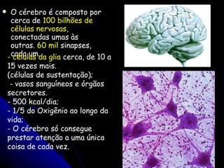 O cérebro é composto por cerca de  100 bilhões de células nervosas,  conectadas umas às outras.  60 mil  sinapses, cada um.  - células da glia  cerca, de  10 a 15 vezes mais. (células de sustentação); - vasos sanguíneos e órgãos secretores. 500 kcal/dia; 1/5 do Oxigênio ao longo da vida; O cérebro só consegue prestar atenção a uma única coisa de cada vez. 