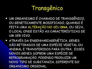 Transgênico UM ORGANISMO É CHAMADO DE TRANSGÊNICO, OU GENETICAMENTE MODIFICADO, QUANDO É FEITA UMA  ALTERAÇÃO NO SEU  DNA ,  OU SEJA, O LOCAL ONDE ESTÃO AS CARACTERÍSTICAS DE UM SER VIVO.  ATRAVÉS DA ENGENHARIAGENÉTICA, GENES SÃO RETIRADOS DE UMA ESPÉCIE VEGETAL OU ANIMAL E TRANSFERIDOS PARA OUTRA.  ESSES NOVOS GENES SOFREM UMA ESPÉCIE DE REPROGRAMAÇÃO, PODENDO PRODUZIR UM NOVO TIPO DE SUBSTANCIA, DIFERENTE DO ORGANISMO ORIGINAL. 