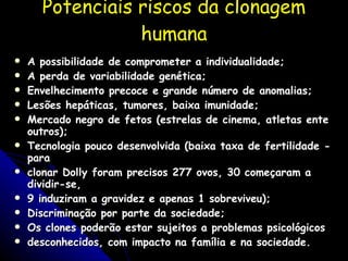 Potenciais riscos da clonagem humana A possibilidade de comprometer a individualidade; A perda de variabilidade genética; Envelhecimento precoce e grande número de anomalias; Lesões hepáticas, tumores, baixa imunidade; Mercado negro de fetos (estrelas de cinema, atletas ente outros); Tecnologia pouco desenvolvida (baixa taxa de fertilidade -para clonar Dolly foram precisos 277 ovos, 30 começaram a dividir-se, 9 induziram a gravidez e apenas 1 sobreviveu); Discriminação por parte da sociedade; Os clones poderão estar sujeitos a problemas psicológicos desconhecidos, com impacto na família e na sociedade. 