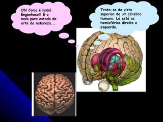 Oh! Como é lindo! Engenhoso!!! É o mais puro estado de arte da natureza... Trata-se da vista superior de um cérebro humano. Lá está os hemisférios direito e esquerdo. 