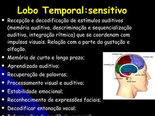 Lobo Temporal:sensitivo Recepção e decodificação de estímulos auditivos (memória auditiva, descriminação e sequencialização auditiva, integração rítmica) que se coordenam com impulsos visuais. Relação com a parte da gustação e olfação.  Memória de curto e longo prazo; Aprendizado auditivo; Recuperação de palavras; Processamento visual e auditivo; Estabilidade emocional; Reconhecimento de expressões faciais; Decodificar entonação vocal; Informações do equilíbrio corporal; 