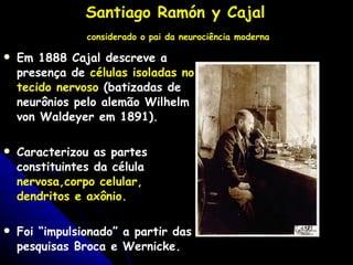 Santiago Ramón y Cajal   considerado o pai da neurociência moderna Em 1888 Cajal descreve a presença de  células isoladas no tecido nervoso  (batizadas de neurônios pelo alemão Wilhelm von Waldeyer em 1891).  Caracterizou as partes constituintes da célula  nervosa,corpo celular, dendritos e axônio.   Foi “impulsionado” a partir das pesquisas Broca e Wernicke. 