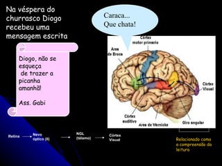 Diogo, não se  esqueça de trazer a  picanha  amanhã! Ass. Gabi Na véspera do churrasco Diogo recebeu uma mensagem escrita Caraca... Que chata!  Retina Nevo  óptico (II) NGL (tálamo) Córtex  Visual  Relacionado coma a compreensão da leitura 