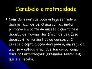 Cerebelo e motricidade Consideremos que você esteja sentado e deseja ficar de pé. O seu córtex motor primário é a parte do encéfalo que toma a decisão de movimentar (ficar de pé). Essa decisão é retransmitida ao cerebelo. O cerebelo capta a ação desejada e, em seguida, analisa o estado atual dos seu corpo, como base nas informações (estímulos sensoriais) que ele recebe. 