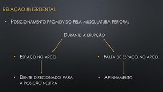 • POSICIONAMENTO PROMOVIDO PELA MUSCULATURA PERIORAL
DURANTE A ERUPÇÃO
• ESPAÇO NO ARCO
• DENTE DIRECIONADO PARA
A POSIÇÃO NEUTRA
• FALTA DE ESPAÇO NO ARCO
• APINHAMENTO
RELAÇÃO INTERDENTAL
 