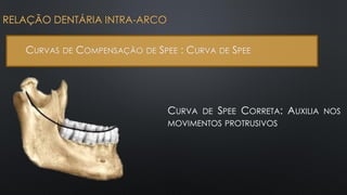 RELAÇÃO DENTÁRIA INTRA-ARCO
CURVAS DE COMPENSAÇÃO DE SPEE : CURVA DE SPEE
CURVA DE SPEE CORRETA: AUXILIA NOS
MOVIMENTOS PROTRUSIVOS
 
