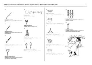 6
CEDUP – Curso Técnico em Análises Clínicas – Disciplina: Bioquímica – Módulo I – Professora Giseli Trento Andrade e Silva.........................................................................................................
___________________________________________________________________________________________________________________________________________
 