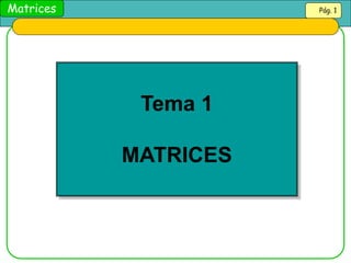Matrices
Tema 1
MATRICES
Pág. 1
 