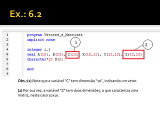 Obs.:(1) Note que a variável “C” tem dimensão “10”, indicando um vetor. 
(2) Por sua vez, a variável “Z” tem duas dimensões, o que caracteriza uma 
matriz, neste caso 10x10. 
 