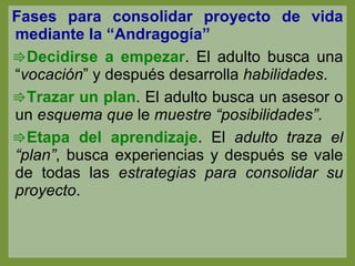 Fases para consolidar proyecto de vida mediante la “Andragogía” Decidirse a empezar . El adulto busca una “ vocación ” y después desarrolla  habilidades . Trazar un plan . El adulto busca un asesor o un  esquema que  le  muestre “posibilidades” . Etapa del aprendizaje . El  adulto traza el “plan” , busca experiencias y después se vale de todas las  estrategias para consolidar su proyecto . 