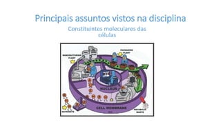 Principais assuntos vistos na disciplina
Constituintes moleculares das
células
 