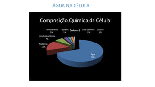 ÁGUA NA CÉLULA
 