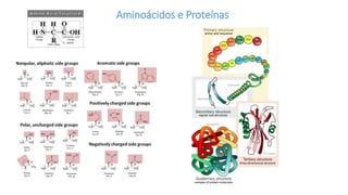 Aminoácidos e Proteínas
 