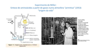 Experimento de Miller:
Síntese de aminoácidos a partir de gases numa atmosfera “primitiva” (1953)
“origem da vida”
 