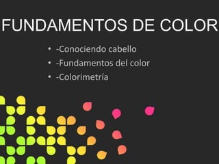 FUNDAMENTOS DE COLOR
• -Conociendo cabello
• -Fundamentos del color
• -Colorimetría
 
