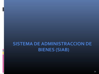 SISTEMA DE ADMINISTRACCION DE
BIENES (SIAB)

59

 