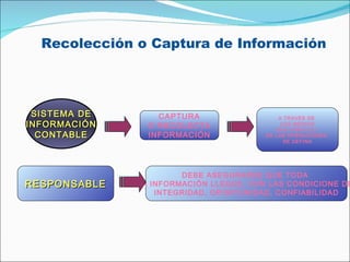Recolección o Captura de Información SISTEMA DE INFORMACIÓN CONTABLE CAPTURA O RECOLECTA INFORMACIÓN A TRAVES DE  LOS MEDIOS QUE PARA C/U  DE LAS OPERACIONES  SE DEFINA RESPONSABLE DEBE ASEGURARSE QUE TODA  LA INFORMACIÓN LLEGUE, CON LAS CONDICIONE DE: INTEGRIDAD, OPORTUNIDAD, CONFIABILIDAD 