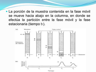  La porción de la muestra contenida en la fase móvil
se mueve hacia abajo en la columna, en donde se
efectúa la partición entre la fase móvil y la fase
estacionaria (tiempo t1).
 