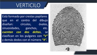 Vertificilo Fundamentos de kaslkllll Dactiloscopia.pdf