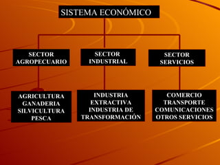 SISTEMA ECONÓMICO SECTOR AGROPECUARIO SECTOR  INDUSTRIAL SECTOR SERVICIOS AGRICULTURA GANADERIA SILVICULTURA PESCA INDUSTRIA EXTRACTIVA INDUSTRIA DE TRANSFORMACIÓN COMERCIO TRANSPORTE COMUNICACIONES OTROS SERVICIOS 