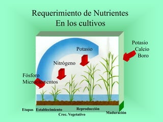 El Nitrógeno - Fertilizantes 
FERTILIZANTES NITROGENADOS 
FERTILIZANTE FORMULA LEY (%) USO OBSERVACION 
N S Forma de Nitro...