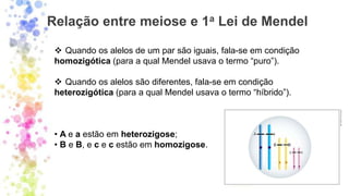 Relação entre meiose e 1a Lei de Mendel
❖ Quando os alelos de um par são iguais, fala-se em condição
homozigótica (para a qual Mendel usava o termo “puro”).
❖ Quando os alelos são diferentes, fala-se em condição
heterozigótica (para a qual Mendel usava o termo “híbrido”).
• A e a estão em heterozigose;
• B e B, e c e c estão em homozigose.
 