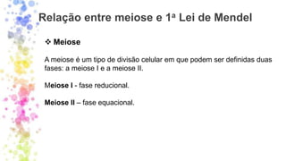 Relação entre meiose e 1a Lei de Mendel
❖ Meiose
A meiose é um tipo de divisão celular em que podem ser definidas duas
fases: a meiose I e a meiose II.
Meiose I - fase reducional.
Meiose II – fase equacional.
 