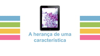 A herança de uma
característica
 