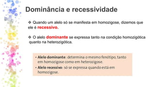 Dominância e recessividade
❖ Quando um alelo só se manifesta em homozigose, dizemos que
ele é recessivo.
❖ O alelo dominante se expressa tanto na condição homozigótica
quanto na heterozigótica.
 