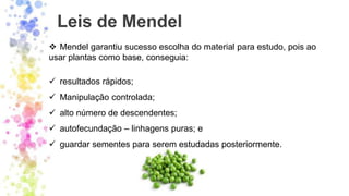 Leis de Mendel
❖ Mendel garantiu sucesso escolha do material para estudo, pois ao
usar plantas como base, conseguia:
✓ resultados rápidos;
✓ Manipulação controlada;
✓ alto número de descendentes;
✓ autofecundação – linhagens puras; e
✓ guardar sementes para serem estudadas posteriormente.
 