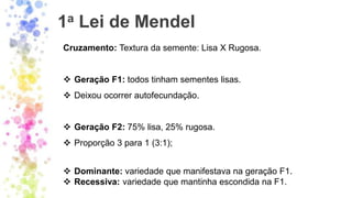 1a Lei de Mendel
Cruzamento: Textura da semente: Lisa X Rugosa.
❖ Geração F1: todos tinham sementes lisas.
❖ Deixou ocorrer autofecundação.
❖ Geração F2: 75% lisa, 25% rugosa.
❖ Proporção 3 para 1 (3:1);
❖ Dominante: variedade que manifestava na geração F1.
❖ Recessiva: variedade que mantinha escondida na F1.
 