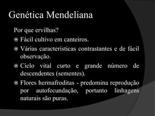EXERCÍCIOSa)	Qual a probabilidade de um gameta formado por um indivíduo heterozigoto Aa portar o alelo A?Qual a probabilidade de se obter um Ás de ouro em um baralho?No lançamento simultâneo de três dados, qual a probabilidade de sortear “face 6” em todos?d) 	Lançando-se simultaneamente três moedas, qual é a probabilidade, em um lançamento, de cair  três caras?