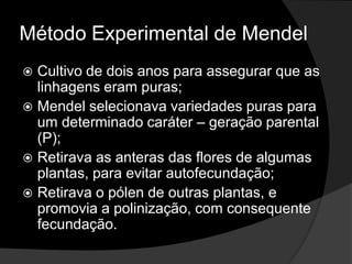 RespostasIndivíduo Aa	Gameta A		  	   Gameta a50% ou 1/2			50% ou 1/2b) Baralho tem 52 cartas e 1 Ás de ouro, então a probabilidade é de 1/52c) A chance de se obter a face 6 é de 1/6, no lançamento simultâneo será de 		1/6 x 1/6 x 1/6 = 1/256d) A probabilidade de se obter três caras é: 		½ x ½ x ½ = 1/8 