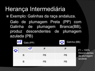 Cruzamento de ervilhas de sementes lisas com Sementes  rugosas.