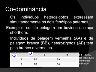 Quadrado de Punnett – cruzamento de ervilhas Lisa (R) com ervilhas rugosas (r)GametaRRrrGameta R	Rr	rF1 -  100% de Indivíduos  Rr – semente lisaGenótipo F2 RR – lisaRr – lisarR – lisaRr - rugosaF2Resultado da autofecundação de plantas da geração F1.