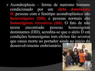 Genótipo: conjunto de genes de um indivíduo.