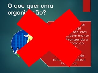 O que quer uma
organização?
 