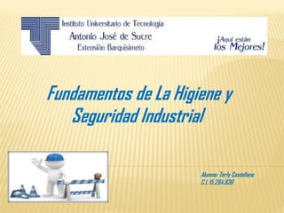 Fundamentos de La Higiene y
Seguridad Industrial ​
​
Alumno: Terly Castellano
C.I,15.264.836
 